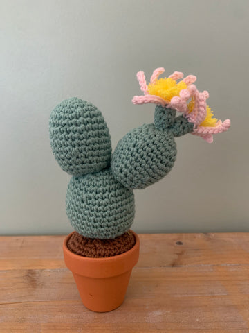 Cactus 3 boules et 2 fleurs