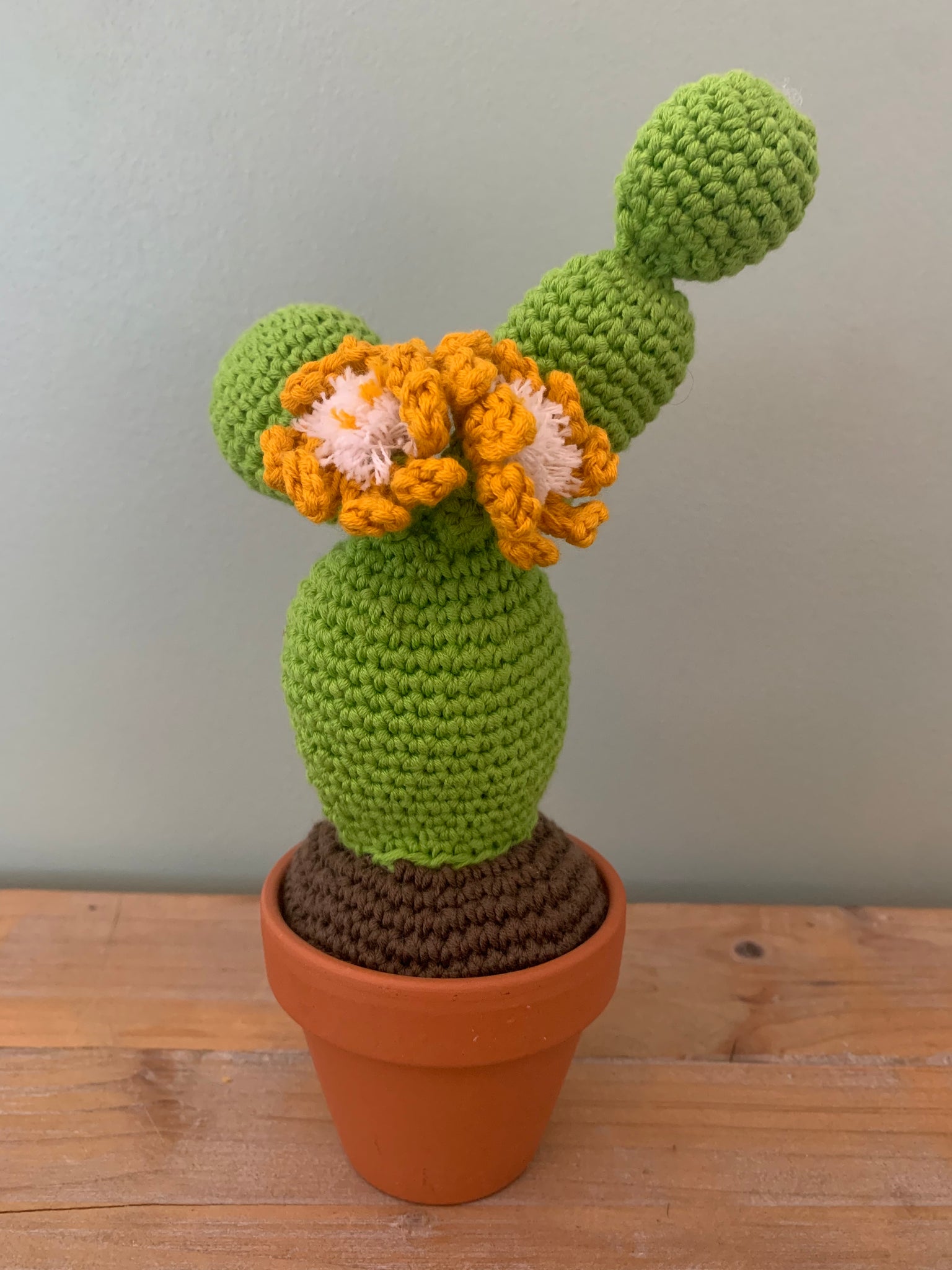 Cactus 4 boules et 2 fleurs