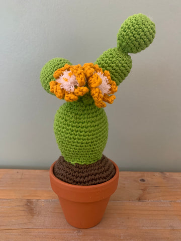 Cactus 4 boules et 2 fleurs